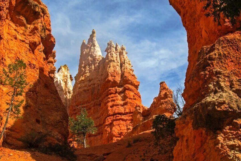 Explore Bryce Canyon: Private Full-Day Tour from Salt Lake City