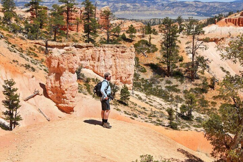 Explore Bryce Canyon: Private Full-Day Tour from Salt Lake City