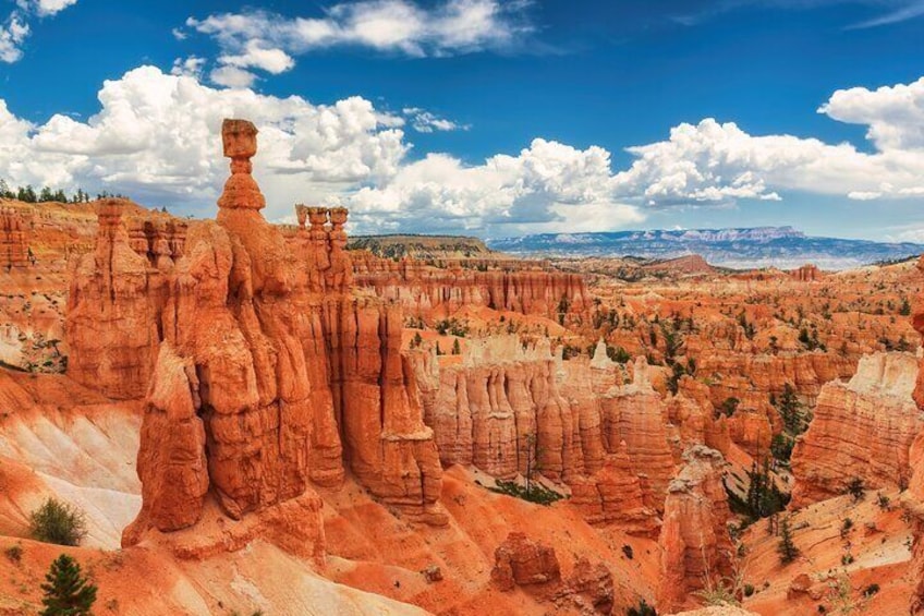 Explore Bryce Canyon: Private Full-Day Tour from Salt Lake City