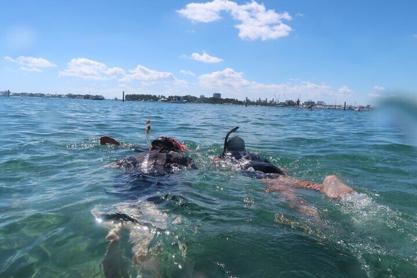 Master Snorkeling Experience Atlantic Ocean Marine Life Upclose