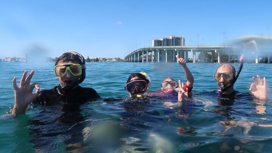 Master Snorkeling Experience Atlantic Ocean Marine Life Upclose