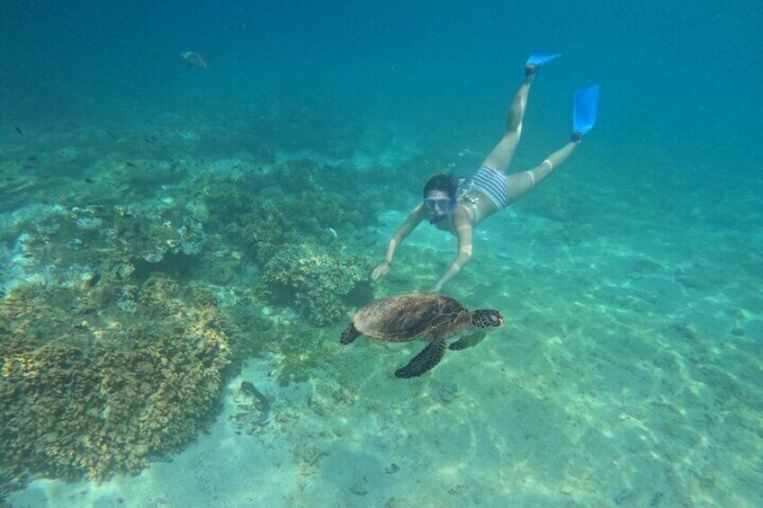 Snorkeling Experience at Ad Daymaniyat Islands in Muscat