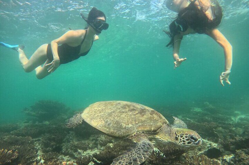 Snorkeling Experience at Ad Daymaniyat Islands in Muscat