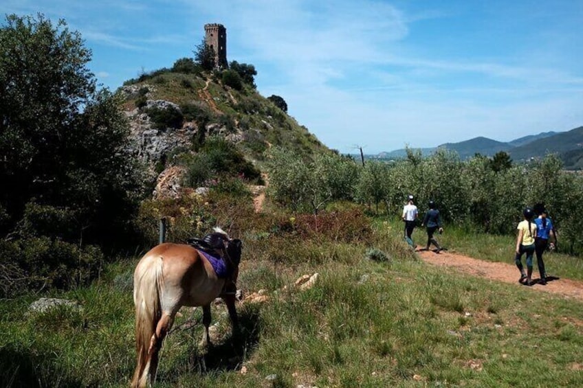 On the rocky spur above the town of Caprona, the "Torre degli Upezzinghi" stands out, a nineteenth-century copy of the tower of the ancient castle existing in the mid-11th century and dismantled by Florence
