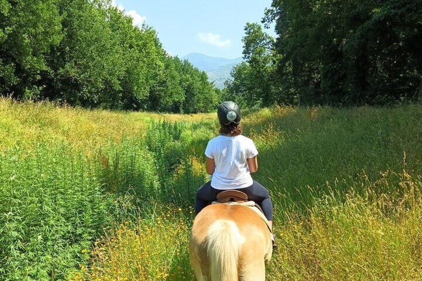 2 hour horseback ride for experts in Valgraziosa (Pisa)