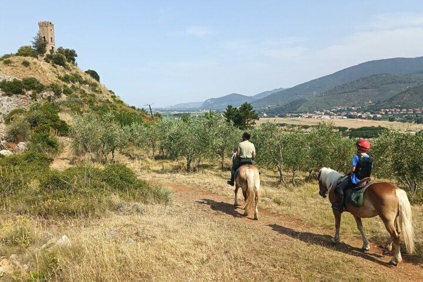 2 hour horseback ride for experts in Valgraziosa (Pisa)