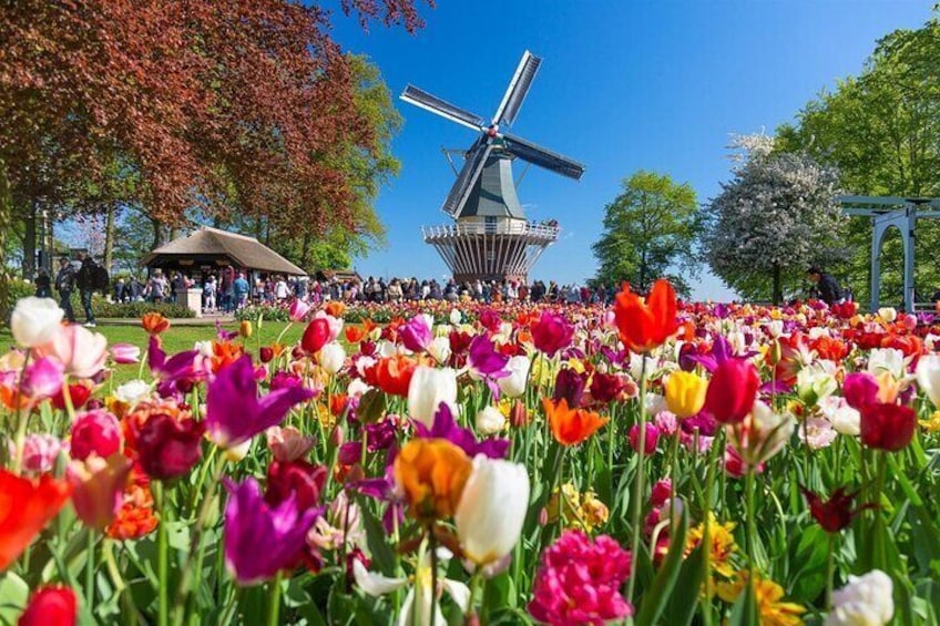 Canal Cruise & Keukenhof Ticket with shuttle bus in Amsterdam