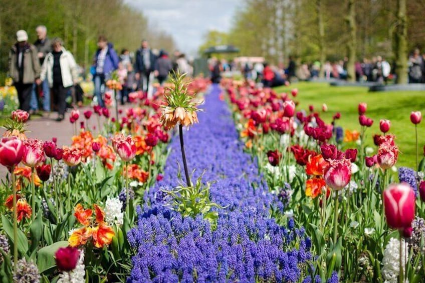 Canal Cruise & Keukenhof Ticket with shuttle bus in Amsterdam