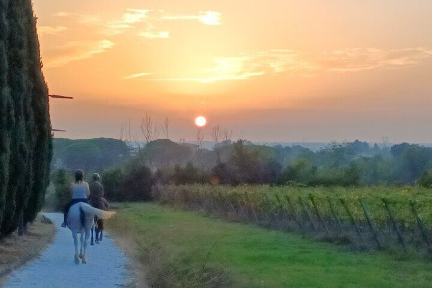 Our trusted horse friends will accompany us through the villages and nature of Valgraziosa