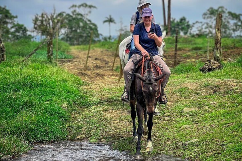 TOUR A CABALLO 