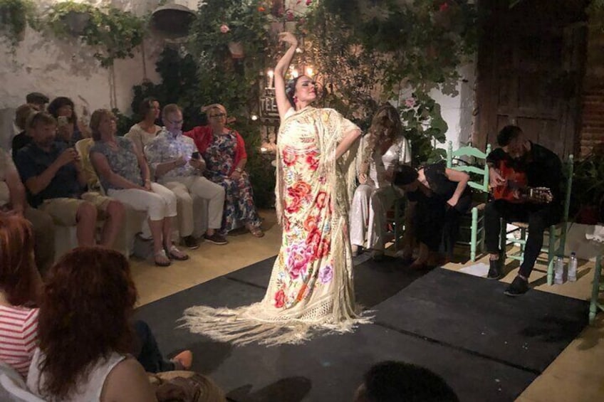 Patio Flamenco La Puerta Ancha with TAPAS