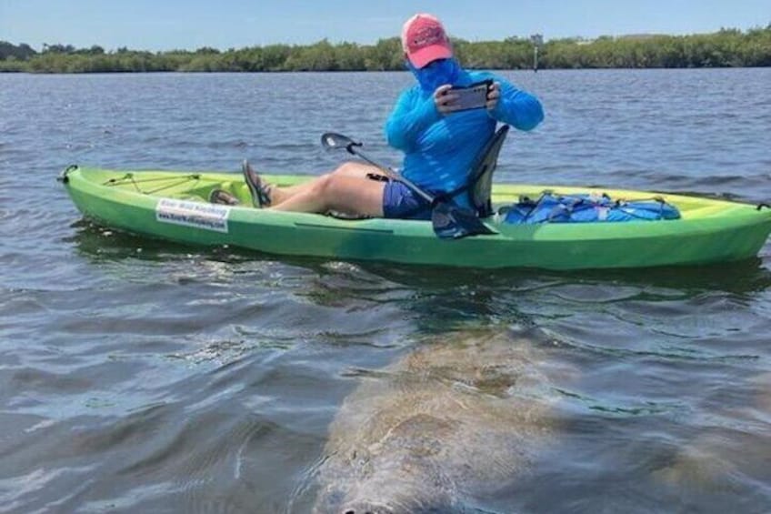 3-Hour Kayaking with Manatee and History Tour in Tarpon Springs