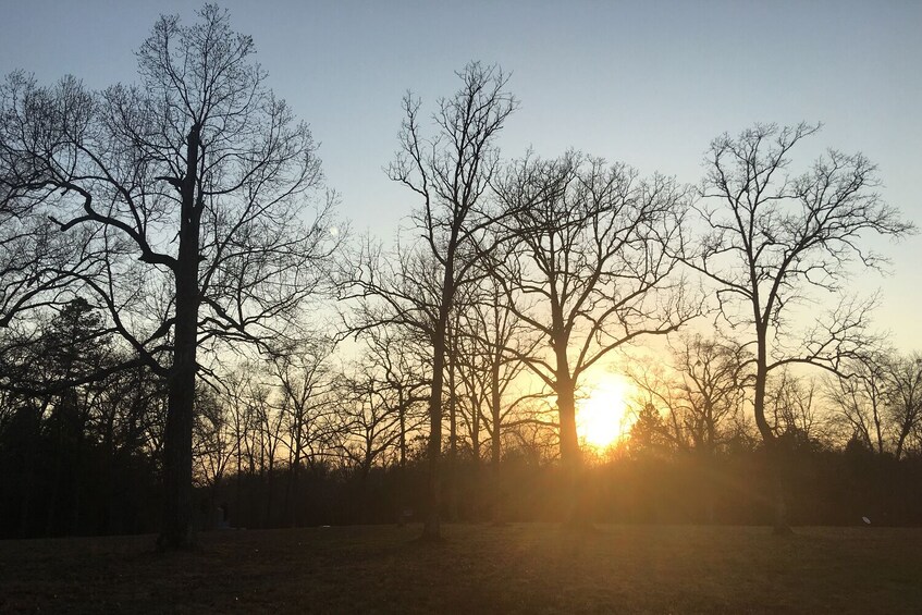 Shiloh National Military Park Self-Guided Driving Audio Tour