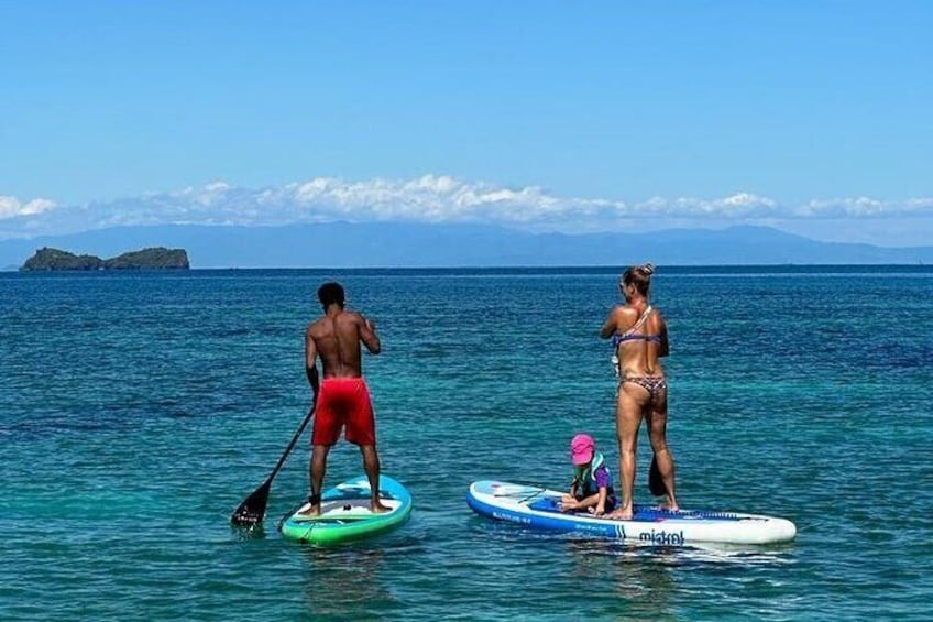 Family paddle boarding trip.