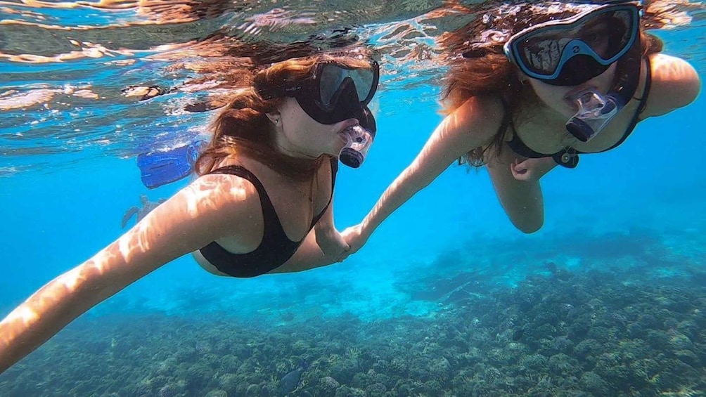 Picture 6 for Activity Muscat: Dolphin Watch & Snorkel Excursion