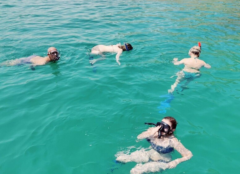 Picture 5 for Activity Muscat: Dolphin Watch & Snorkel Excursion