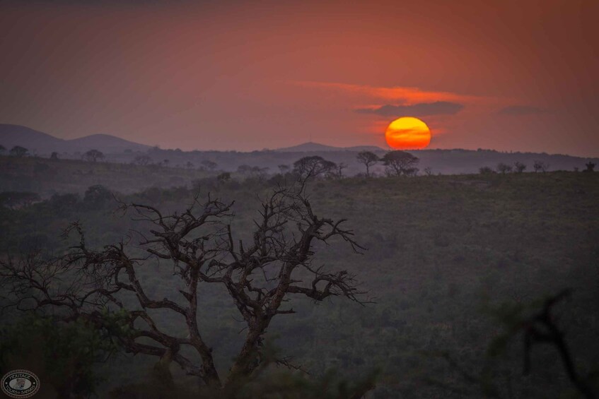 Picture 4 for Activity From St Lucia: iSimangaliso Sunset Safari