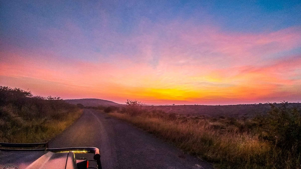 Picture 1 for Activity From St Lucia: iSimangaliso Sunset Safari