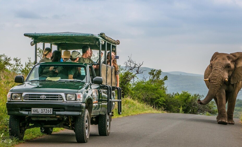 Picture 6 for Activity From St Lucia: iSimangaliso Sunset Safari