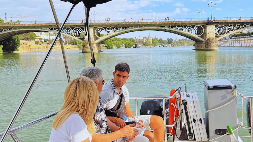 Picture 7 for Activity Seville: Boat Tour "The Corners of the Guadalquivir"