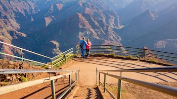 Shore Excursion: Journey to Waimea Canyon (Kauai)