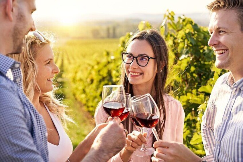 Full-Day Private Chateauneuf du Pape Wine Tour from Avignon