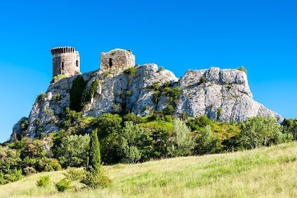 Full-Day Private Chateauneuf du Pape Wine Tour from Avignon