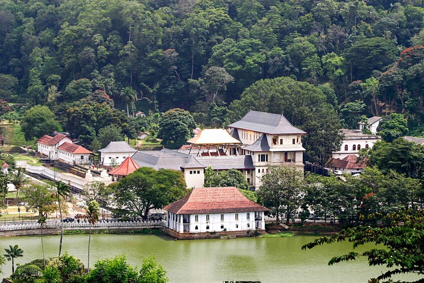 Picture 1 for Activity Kandy City Walk with a Local (Private 5-Hour Tour)