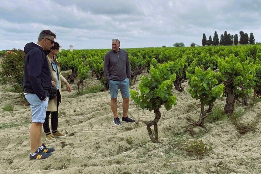 Private Wine Excursion in Camargue Sand Minibus