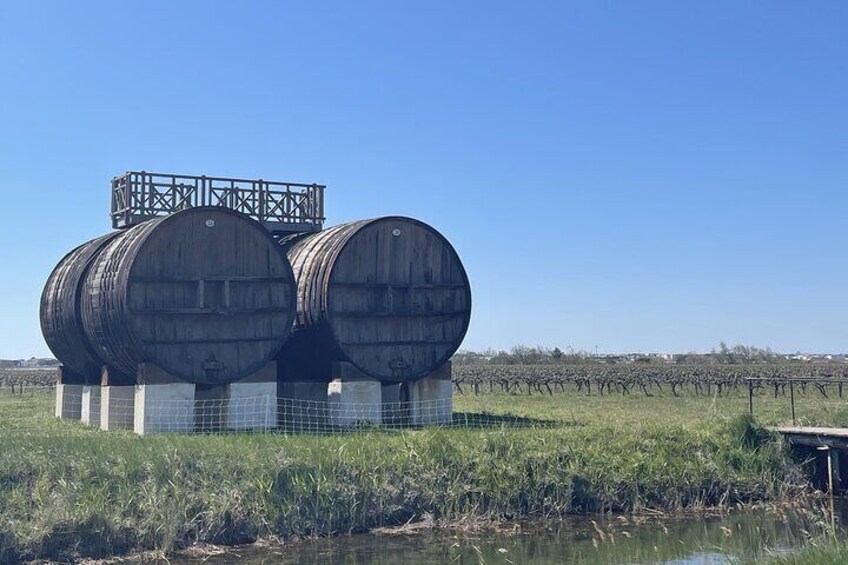 Private Wine Excursion in Camargue Sand Minibus