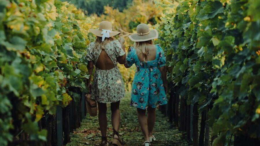 Private hedonistic food and wine experience from Zagreb