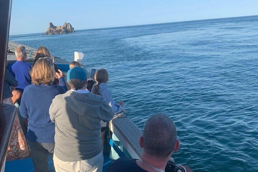 1.5 Hour Coastal Tour of Herm & Jethou