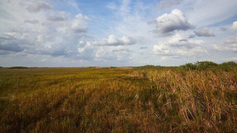 Flamingo Everglades Boat Tours