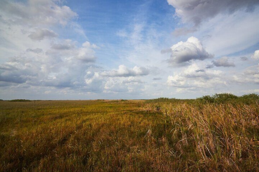 Flamingo Everglades Boat Tours