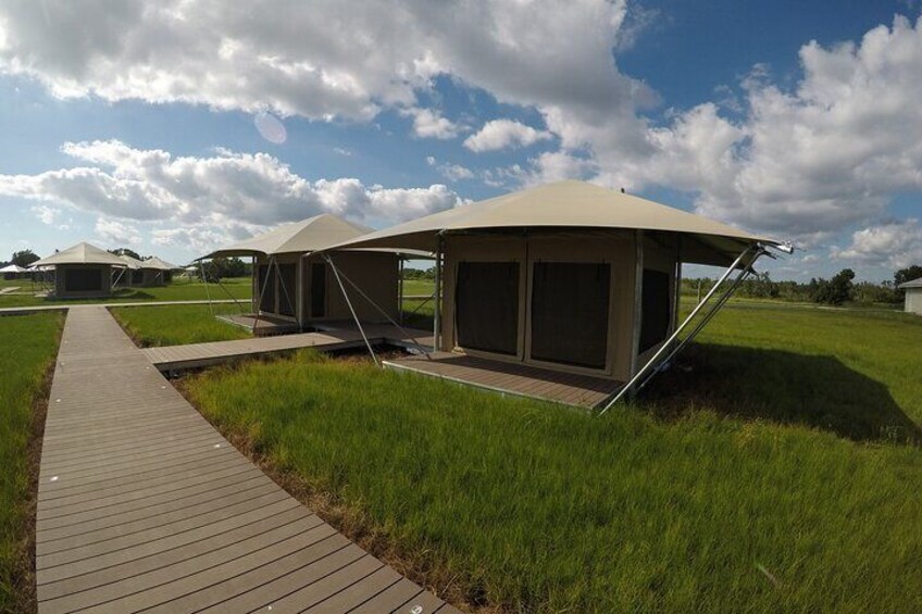 Glamping Tents