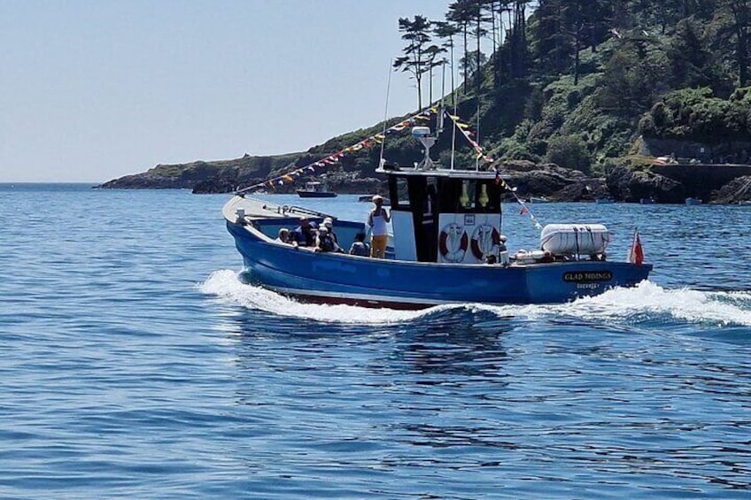Unrivalled Coastal Tour to Saint's Bay Harbour