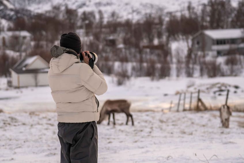 Picture 1 for Activity Tromsø: Kvaløya Island and Fjords Tour