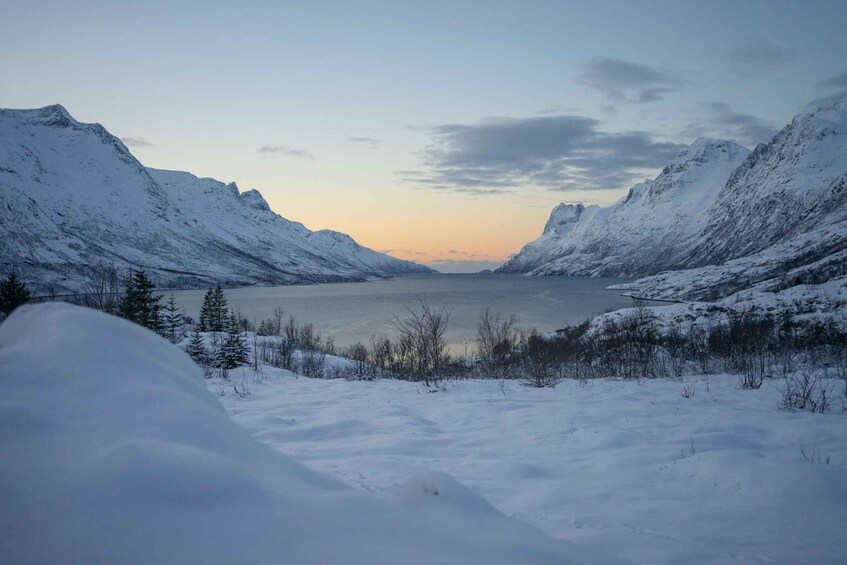 Picture 5 for Activity Tromsø: Kvaløya Island and Fjords Tour