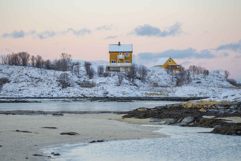 Picture 4 for Activity Tromsø: Kvaløya Island and Fjords Tour