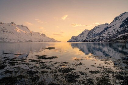 Tromsø: Kvaløya Insel und Fjorde Tour