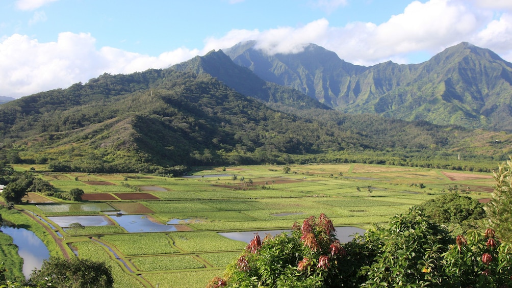 green valley and lush mountains in Kauai