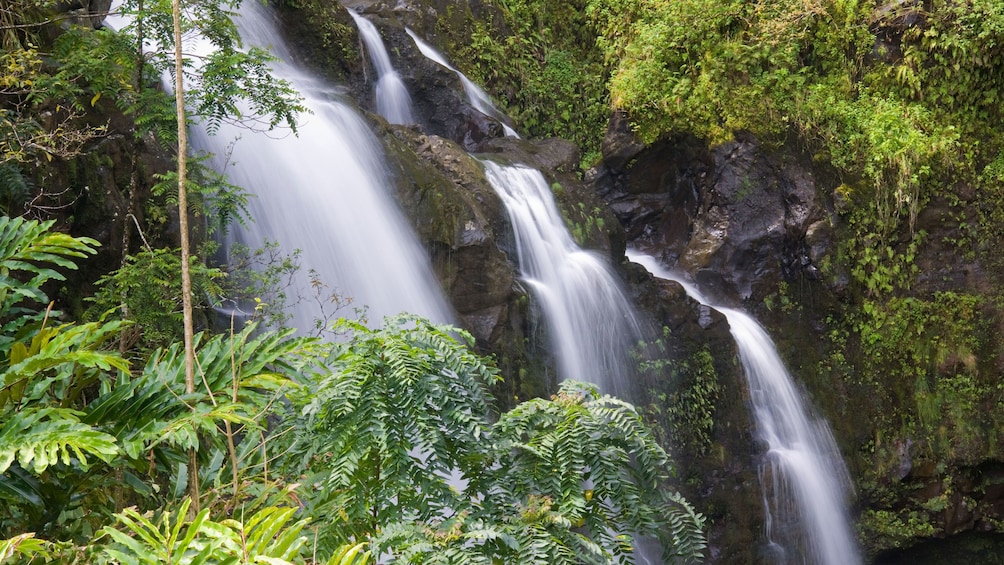 Waterfall in Hana rainforest in Maui