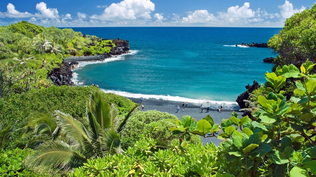 Shore line from peak in Maui 