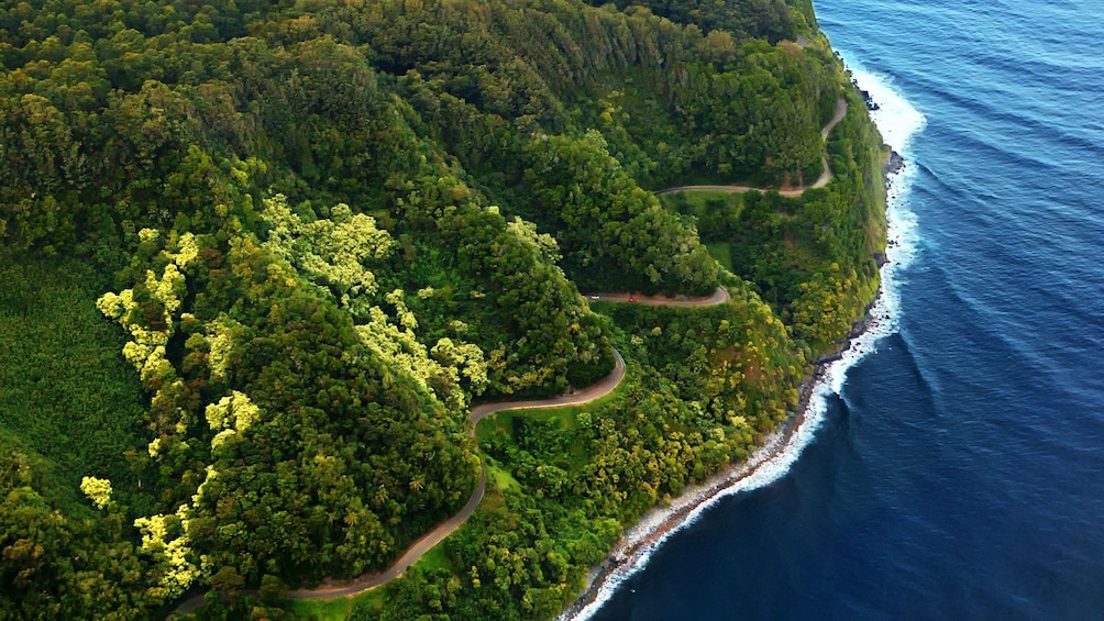 Curvy road along the shore of Maui 
