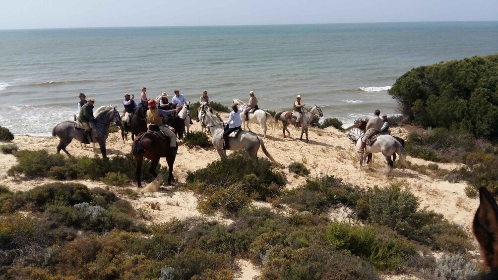 Horse-Riding Tour in Doñana National Park