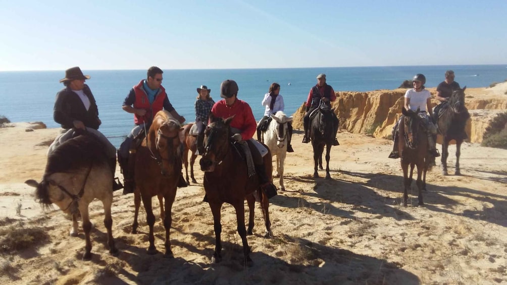 Picture 4 for Activity Horse-Riding Tour in Doñana National Park
