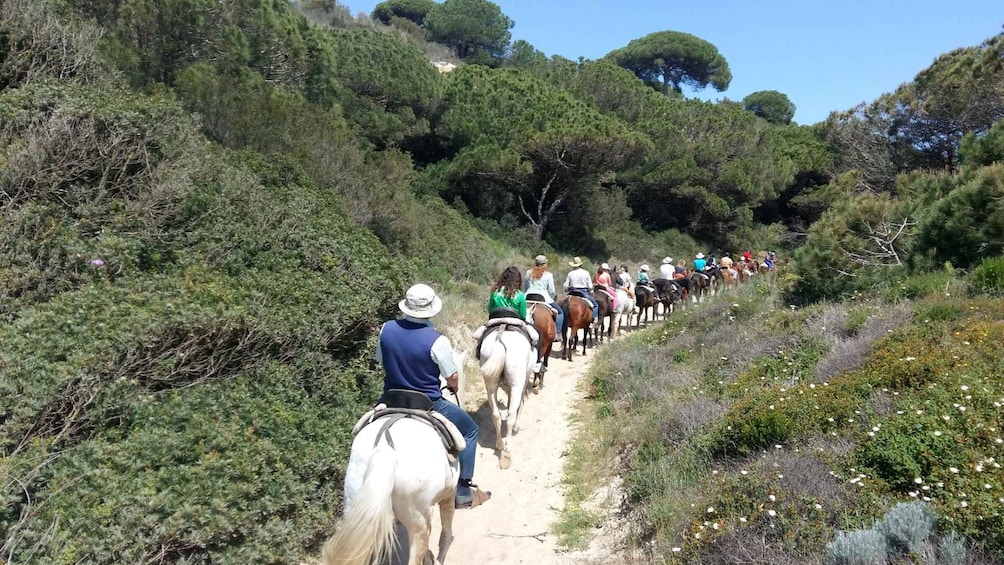 Picture 2 for Activity Horse-Riding Tour in Doñana National Park