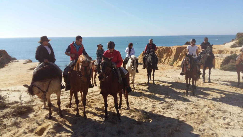 Picture 4 for Activity Horse-Riding Tour in Doñana National Park