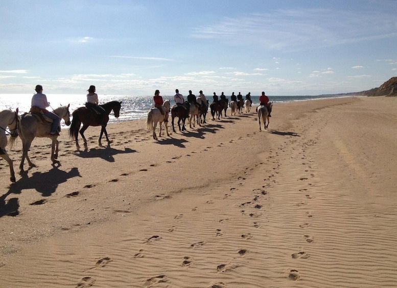 Picture 1 for Activity Horse-Riding Tour in Doñana National Park
