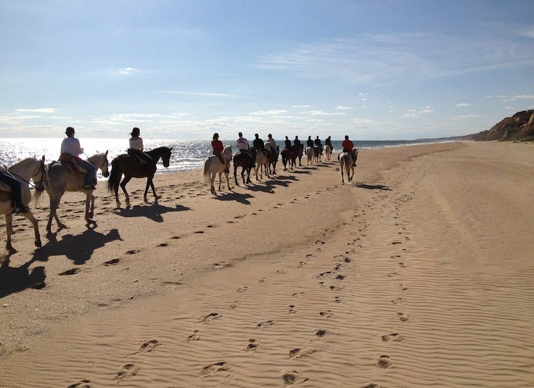 Picture 1 for Activity Horse-Riding Tour in Doñana National Park